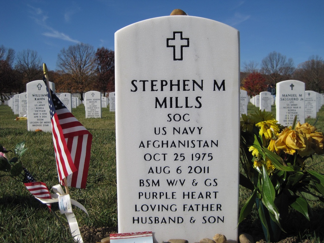 CPO (SEAL) Stephen M. Mills 4 CPO (SEAL) Stephen M. Mills 4